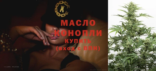 молекула духа Елизово