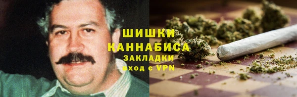 молекула духа Елизово