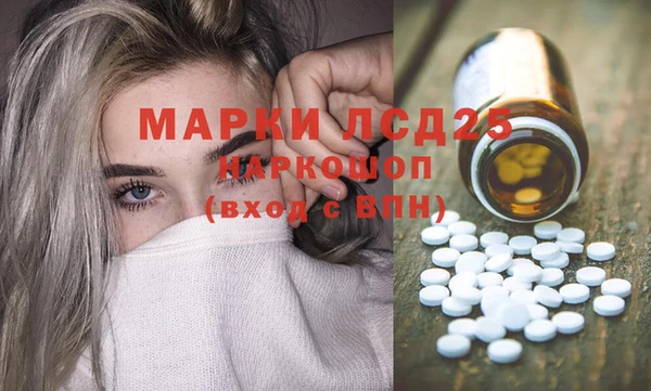 PSILOCYBIN Елабуга
