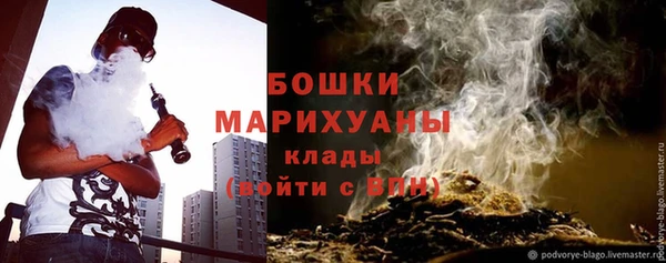 PSILOCYBIN Елабуга