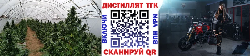 Купить  Нижний Ломов  Дистиллят ТГК концентрат 
